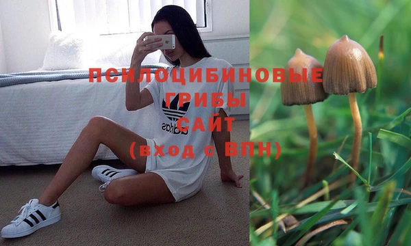 jwh Сафоново